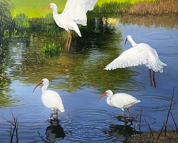 David Peikon - David Peikon Landing in Palm Beach Shortly