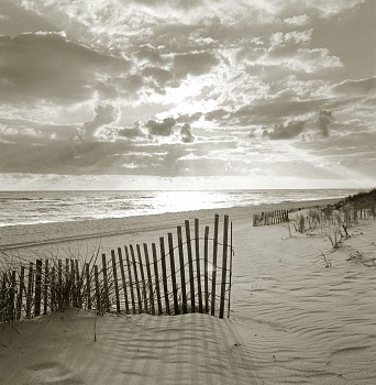 Work: Michael Kahn Waters Edge, Ed. of 50