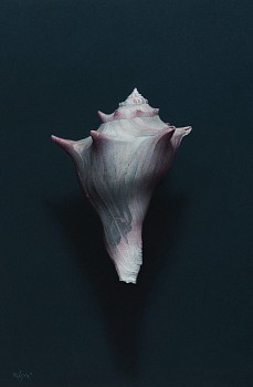 Robert Stark III -&nbsp;Robert Stark III Arise