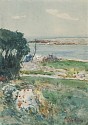 Childe Hassam, Summer Afternoon, Appledore
mid 1890s, watercolor on paper