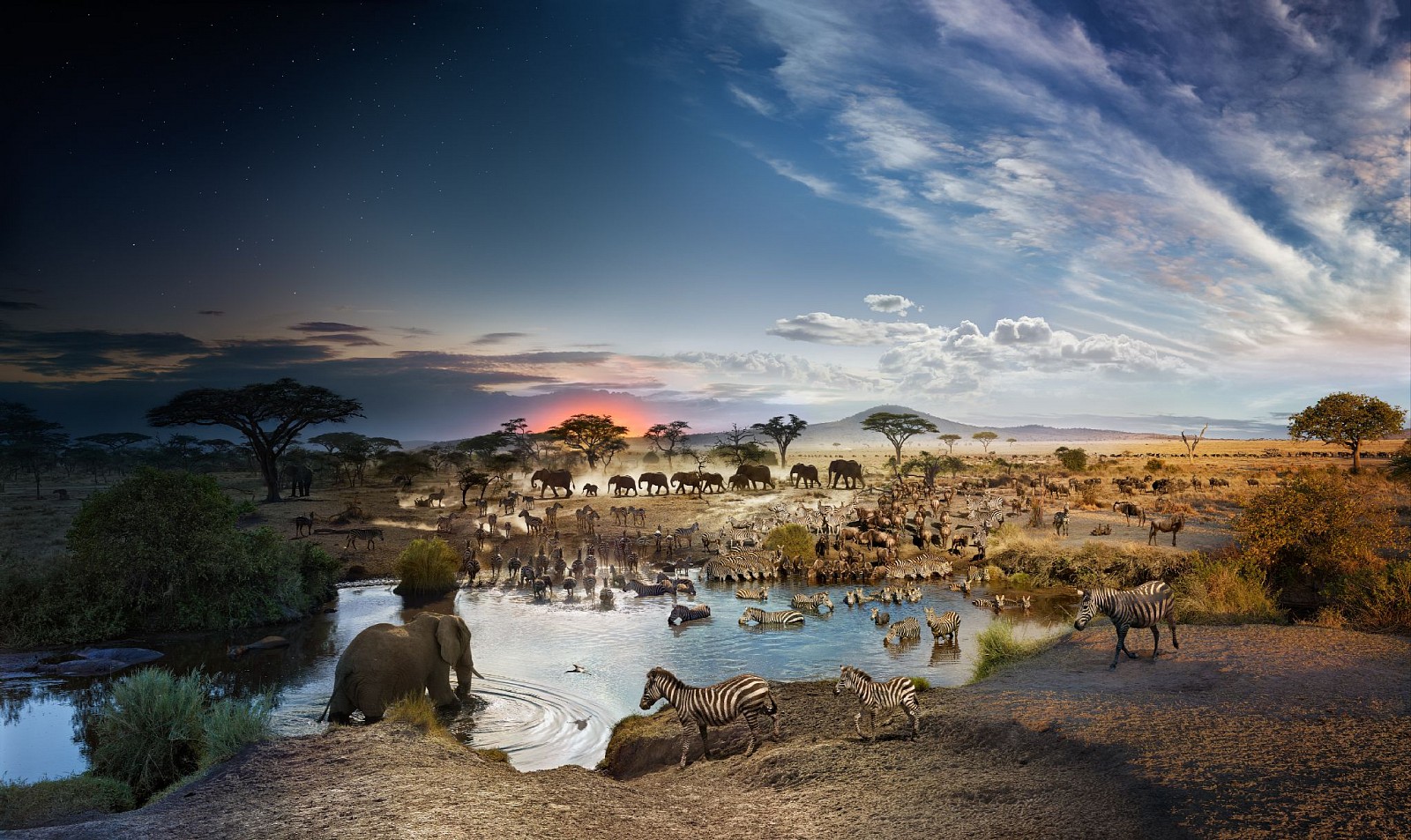 Stephen Wilkes, Serengeti National Park, Tanzania, Day to Night, AP1
FujiFlex Crystal Archive Print, 48 x 81 in. (121.9 x 205.7 cm)
SW240101