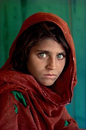 Steve McCurry News & Events: Interview: Famous photojournalist Steve McCurry on authenticity, truth, and trust in today's world, March  5, 2024 - Michelle Cohen, 6sqft