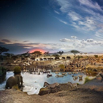 Stephen Wilkes: Time and Place&nbsp;