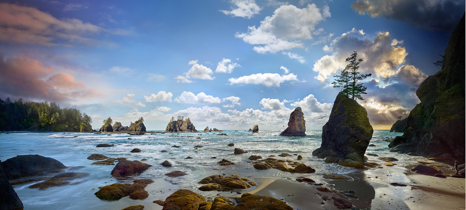 Stephen Wilkes, Shi Shi Beach, Northwestern Washington, Day to Night, Ed. 1/12
FujiFlex Archival Digital C-Print, 43 x 95 in. (109.2 x 241.3 cm)
SW240304