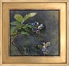 poskas blueberriesripening framed web