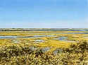 Lori Zummo, Monomoy Marshes, Chatham
oil on board