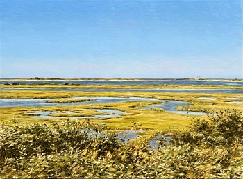 Lori Zummo - Lori Zummo Monomoy Marshes, Chatham