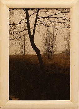 Jefferson Hayman -&nbsp;Jefferson Hayman Maps Drawn In Branches