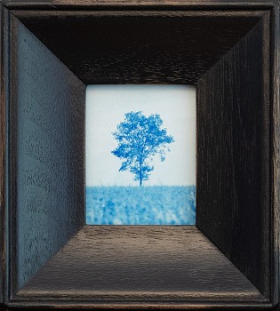 Jefferson Hayman -&nbsp;Jefferson Hayman My Tree