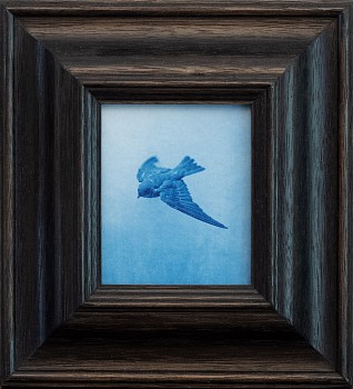 Jefferson Hayman -&nbsp;Jefferson Hayman Near The Sea