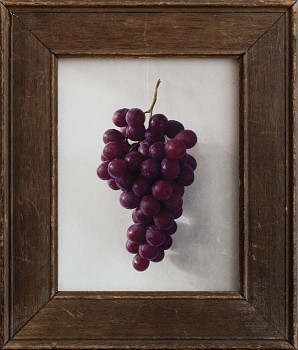 Jefferson Hayman -&nbsp;Jefferson Hayman Still Life With Grapes
