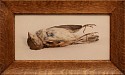 Jefferson Hayman, The Poet (Fallen Bird)
2025, Varnished pigment print paired with a vintage, c. 1900 oak frame