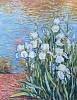 white irises by the water.jpeg