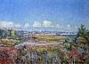 fall from monomoy unframed