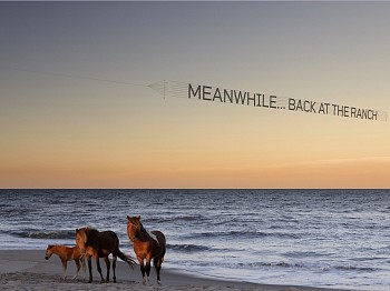 Work: Debranne Cingari Meanwhile Back at the Ranch