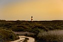 Debranne Cingari, Pathway to Sankaty Lighthouse
2025, Dye sublimated on aluminum