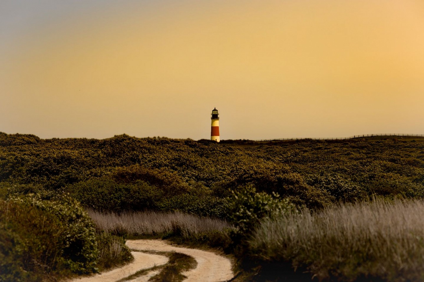 Debranne Cingari, Pathway to Sankaty Lighthouse, 2025
Dye sublimated on aluminum