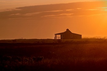 Debranne Cingari -&nbsp;Debranne Cingari Quiet Glow