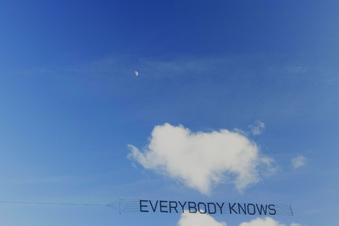 Debranne Cingari, Everybody Knows, Ed. 1/25, 2025
Infused dye sublimated on aluminum, 8 x 12 in. (20.3 x 30.5 cm)