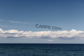 Work: Debranne Cingari Carpe Diem, Ed. 1/25