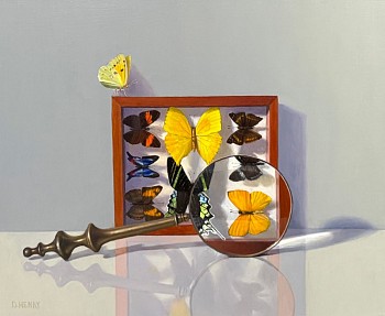 David Henry - David Henry Butterflies