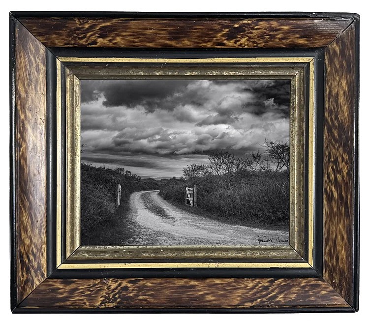 Debranne Cingari, Beyond the Gate, 2026
archival pigment print, 10 x 8 in. (25.4 x 20.3 cm)
DC260403