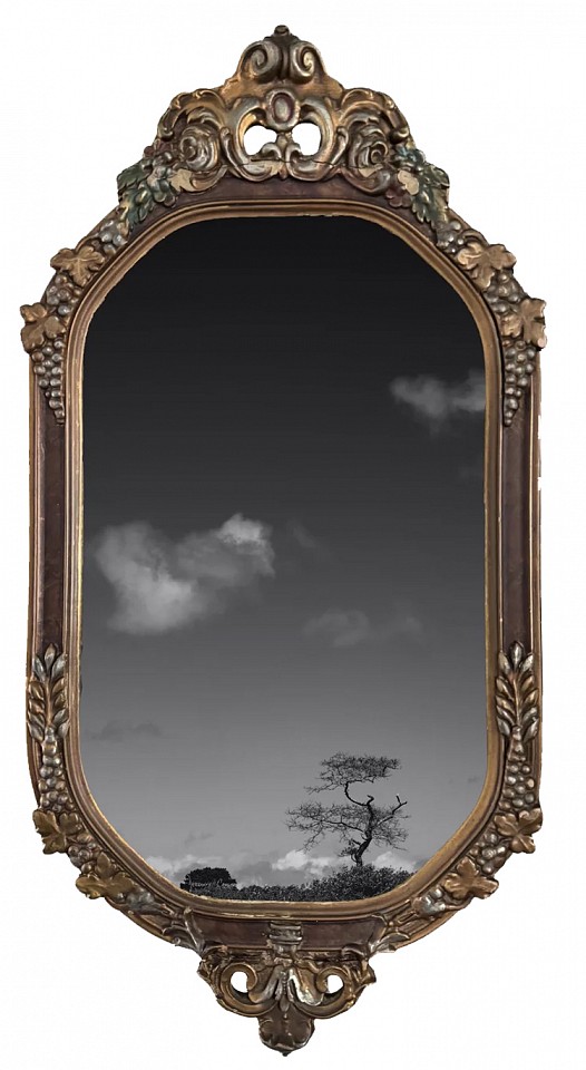 Debranne Cingari, Quiet Reveal, 2026
archival pigment print, 15 1/2 x 9 1/4 in. (39.4 x 23.5 cm)
DC260406