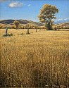 Joseph McGurl, Amber Waves of Grain
oil on canvas