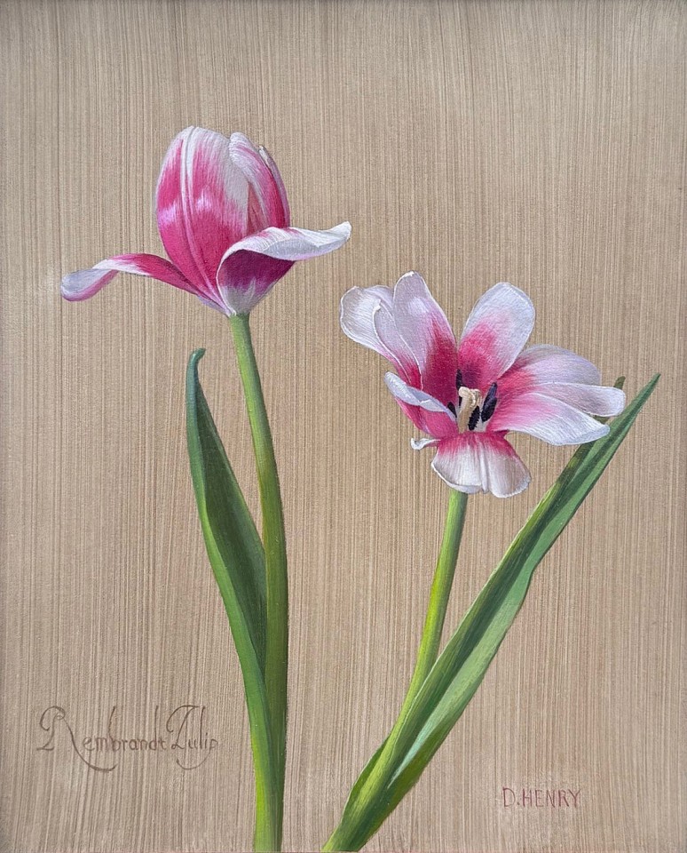 David Henry, Rembrandt Tulip, 2026
oil on birch panel, 10 x 8 in. (25.4 x 20.3 cm)
DH260403