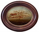 Debranne Cingari, Serengeti Tree
2026, archival pigment print