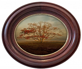 Work:&nbsp;Debranne Cingari Serengeti Tree