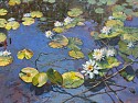 Jackie Jones, White Lotus
oil on linen